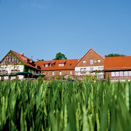 Hotel Neue Hoehe Klingenberg Екстериор снимка