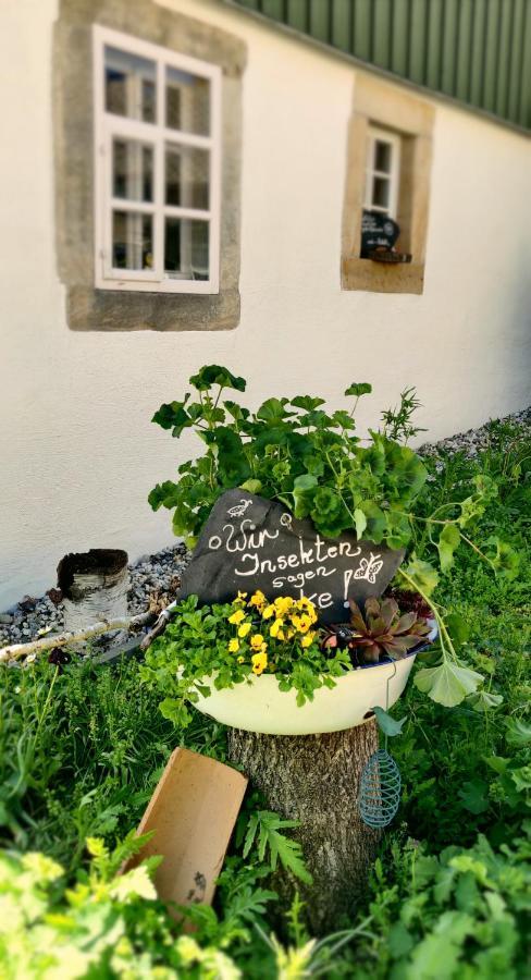 Hotel Neue Hoehe Klingenberg Екстериор снимка