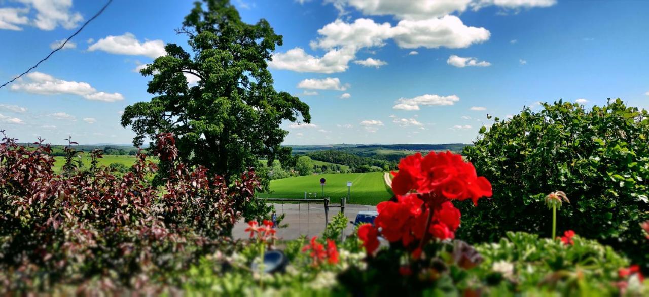 Hotel Neue Hoehe Klingenberg Екстериор снимка