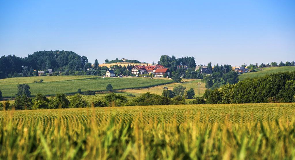 Hotel Neue Hoehe Klingenberg Екстериор снимка