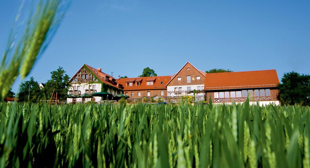 Hotel Neue Hoehe Klingenberg Екстериор снимка